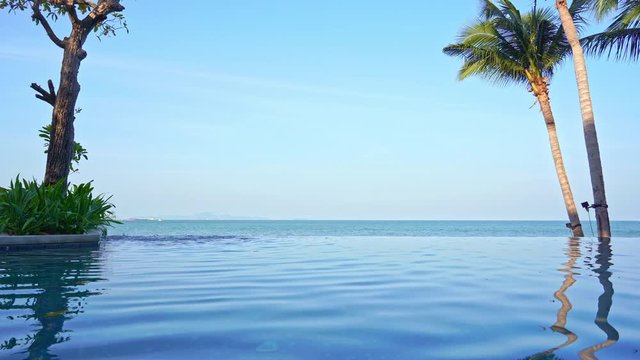 Peaceful seaside scene from infinity pool overlooking a tropical beach. Palm trees frame view from resort swimming pool to ocean and blue sky horizon.