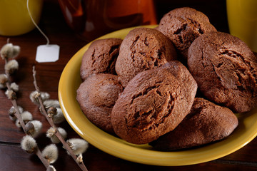 Homemade Chocolate Madeleines Pussy willow