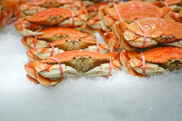 Frozen cooked red crab on the ice for sale