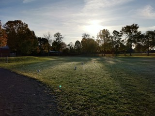 View across a baseball field at sunrise with seagulls.