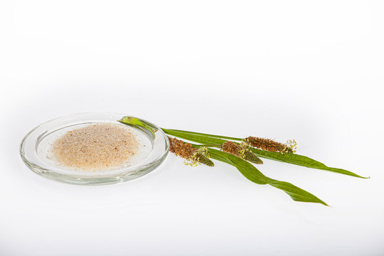 Indische_Flohsamenschalen_2779