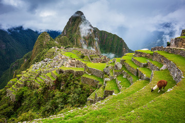 Machu Picchu, Peru. - obrazy, fototapety, plakaty
