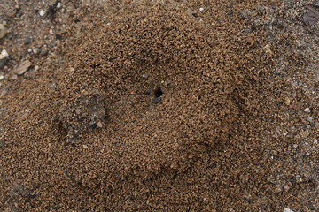 Non edited allison marsh iowa