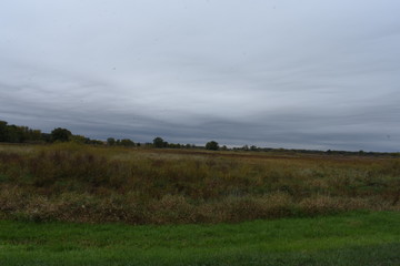 Obraz premium Non edited allison marsh iowa