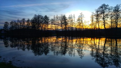 reflection of trees in the water