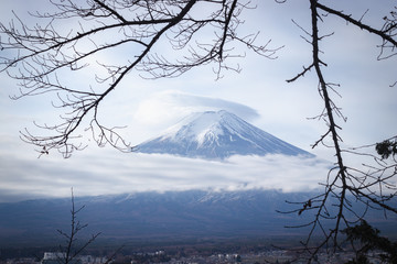 Fuji mountain or Fujisan with frame of  branches.