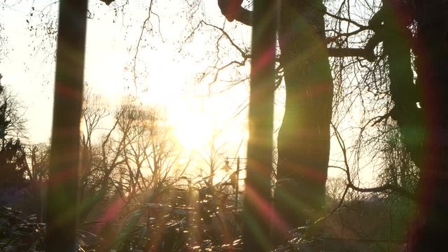 Beautiful Sunset and lens flare, low winter sun sparkling