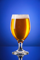 Glass of fresh beer on color background