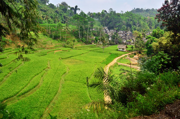 Fototapeta na wymiar village ponds before residents' houses in Tasikmalaya, West Java, Indonesia