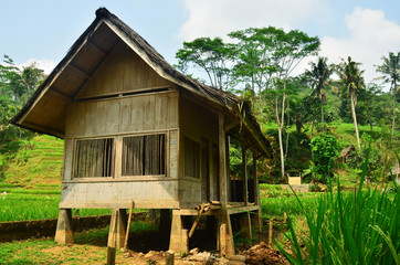 an ethnic wooden house in the forest in Tasikmalaya, West Java, Indonesia