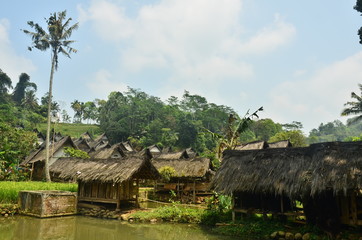 village ponds between residents' houses in Tasikmalaya, West Java, Indonesia
