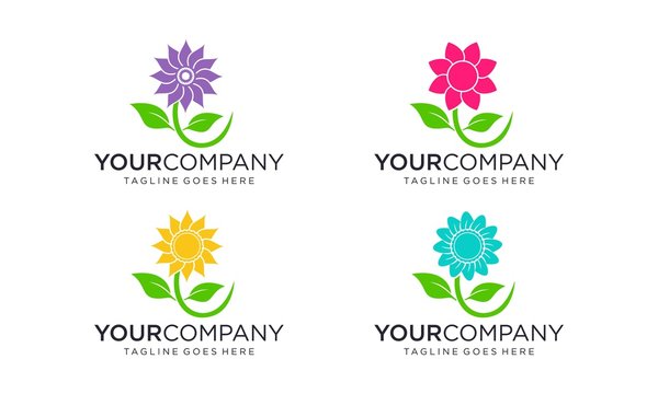 Colorful flowers logo design vector editable