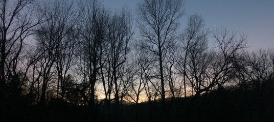 sunset across the creek