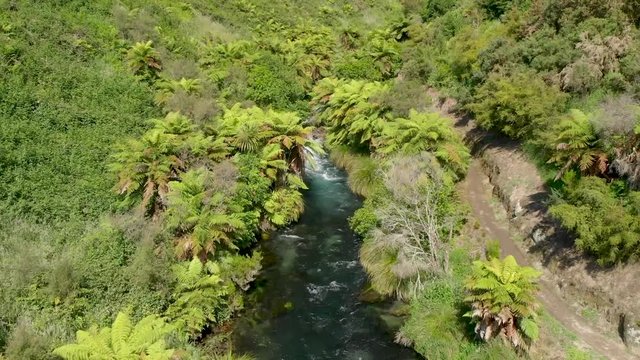 Fyling over clean fresh water stream, Blue Spring Putaruru, New Zealand