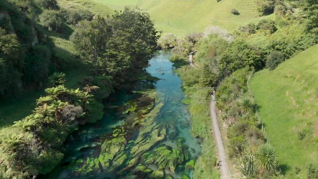 Aerial view of Te Waihou Walkway at Putaruru Blue Spring, New Zealand