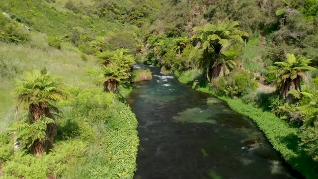 Flying over pristine clear Blue Spring Putaruru in New Zealand