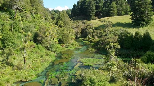 Aerial shot of pristine lush New Zealand nature and clear water stream