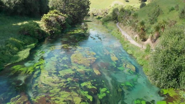 Flying over Blue Spring Putaruru fresh water stream in New Zealand