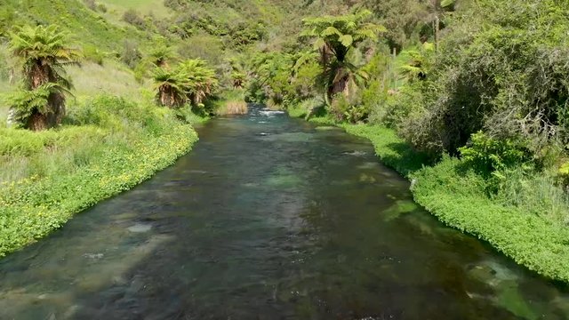 Aerial view of fresh water stream in beatiful native New Zealand scenery