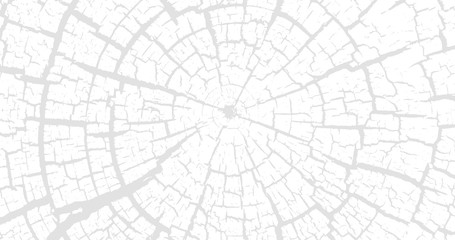 Cracked stump wood texture 4K background. Wood material surface. Vintage effect grit texture. Natural wooden stump trace. Lumber surface. Vector illustration