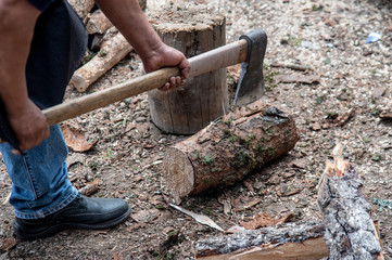  man in the woods with lumberjack ax splitting wood in a log