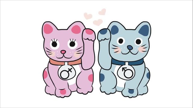 Couple lucky cat Pink and Blue color cartoon