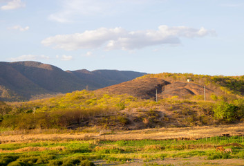 Paisagem do sítio