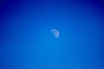 Moon in the Daytime
