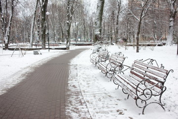 Three benches in a row in a snowy winter city park among the trees. Winter landscape in monochrome colors