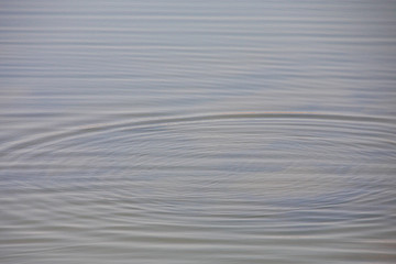 abstract Light water neutral background on the reservoir