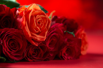 Red roses with a red background, congratulations on Valentine's Day, happy birthday, or happy love day. Romance, postcard