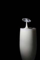 Splashing milk, black and white, splash breaking water