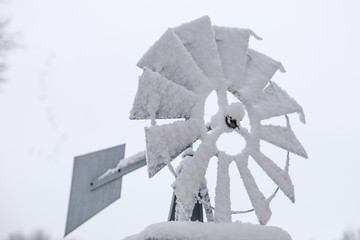 Frozen Wind