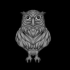 owl on black background