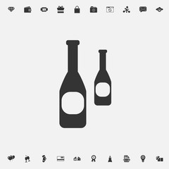 alcohol beer bottle icon vector illustration for graphic design and websites