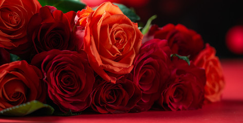 Red roses with a red background, congratulations on Valentine's Day, happy birthday, or happy love day. Romance, Banner