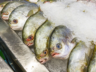 Frozen fish on the ice at seafood stall in supermarket