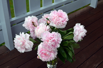 Norwegian Peonies. Beautiful flowers grown in southern Norway
