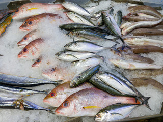 Assortment of fresh fish selling at frozen seafood market