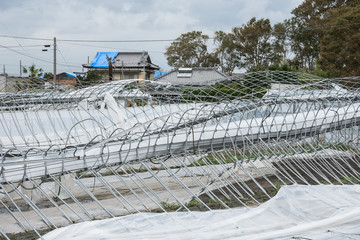 台風被害、ビニールハウス倒壊