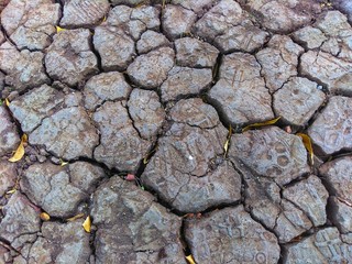 cracked earth texture