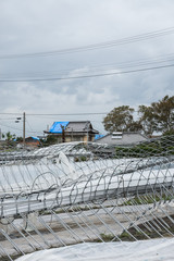 Fototapeta premium 台風被害、ビニールハウス倒壊