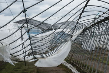 台風被害、ビニールハウス倒壊