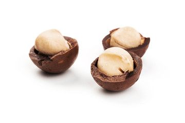 Raw not peeled whole macadamia nuts with shelled kernels isolated on white. Macro view. Healthy food. Protein source.