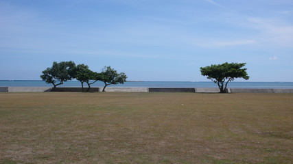 公園　海