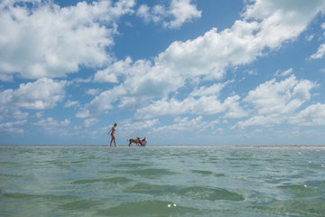 woman and dog playing 