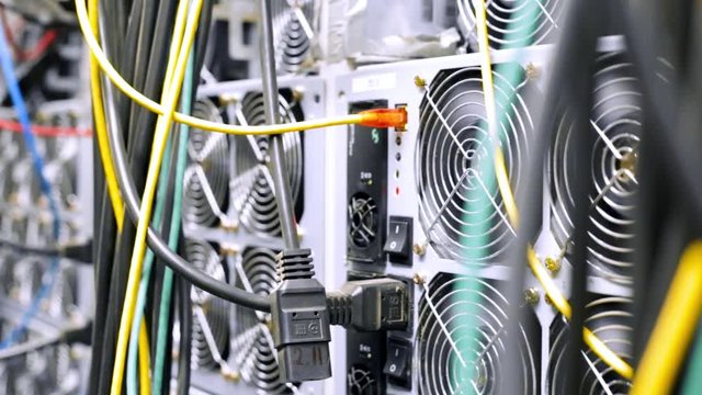 Close-up of multicolored cables with computer equipment. Stock footage. Data center equipment with many connected and tangled cables