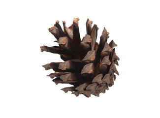 bump isolated on white background