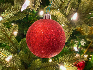 Red and gold decoration on the Christmas tree. Christmass balls on tree twig. Christmas background