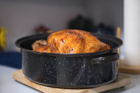 Roasted turkey in a pan for the family feast during holidays